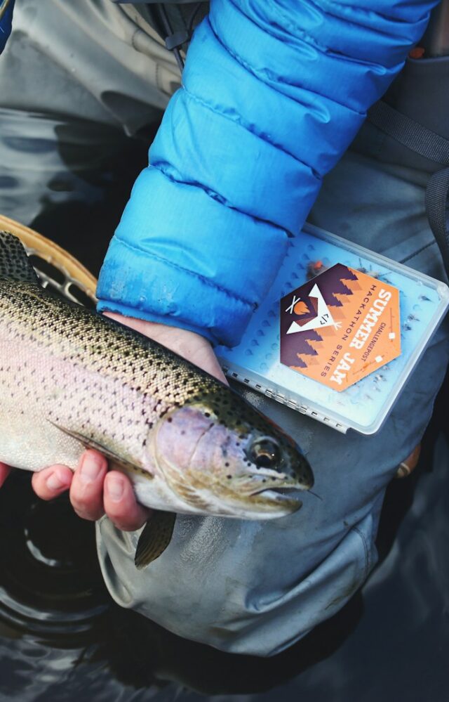 person holding gray and beige fish